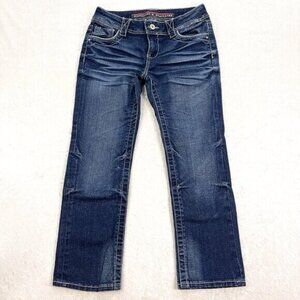 STANDARDS & PRACTICES Jeans Women 26 Y2K Low Rise Straight Leg Heavy Distressed